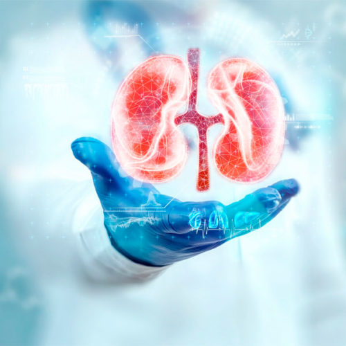 Urologia